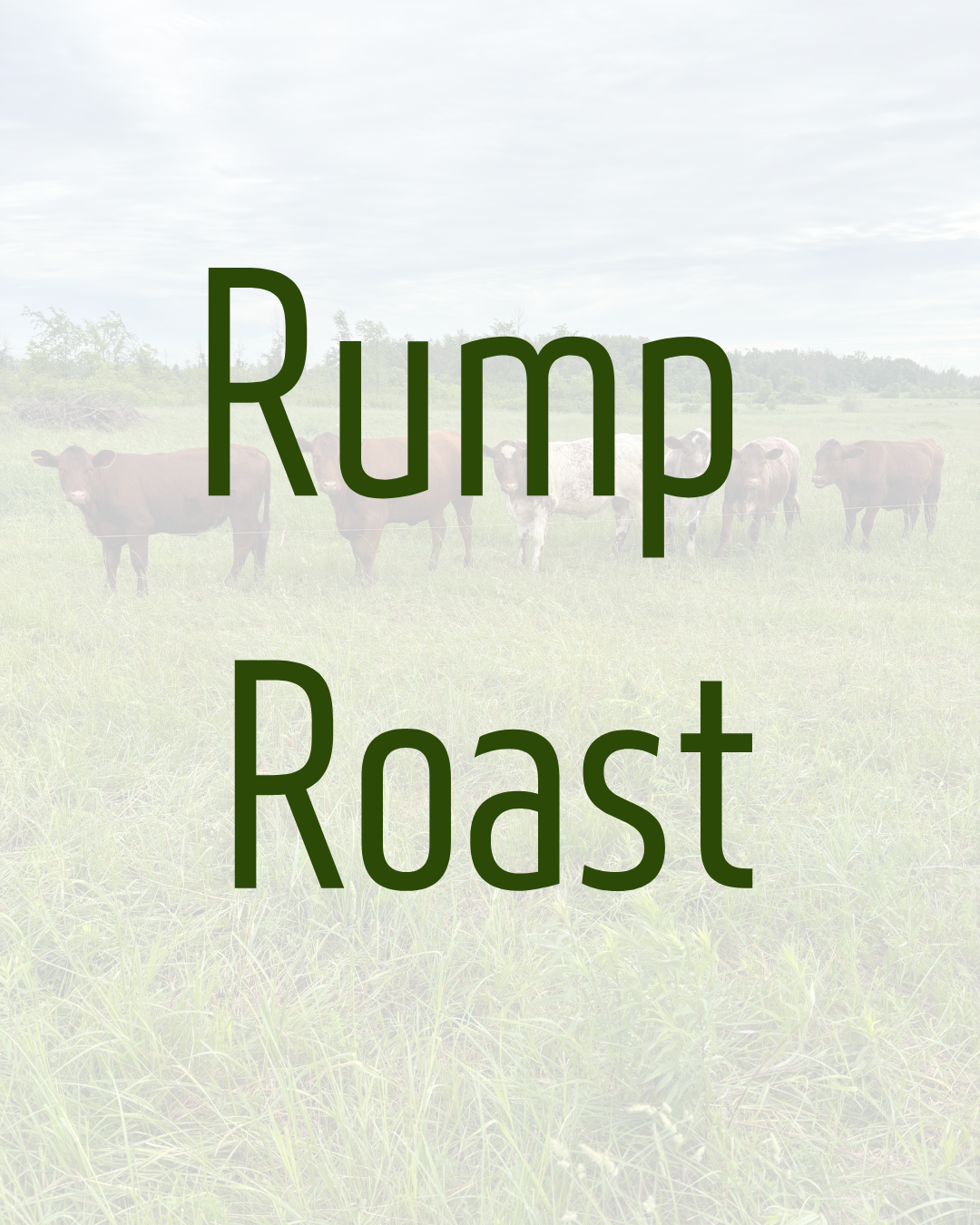 Rump Roast (bone-in) by Dalmeny Acres