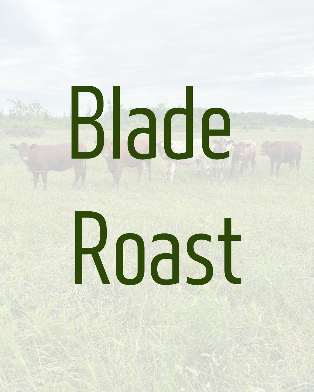 Blade Roast by Dalmeny Acres