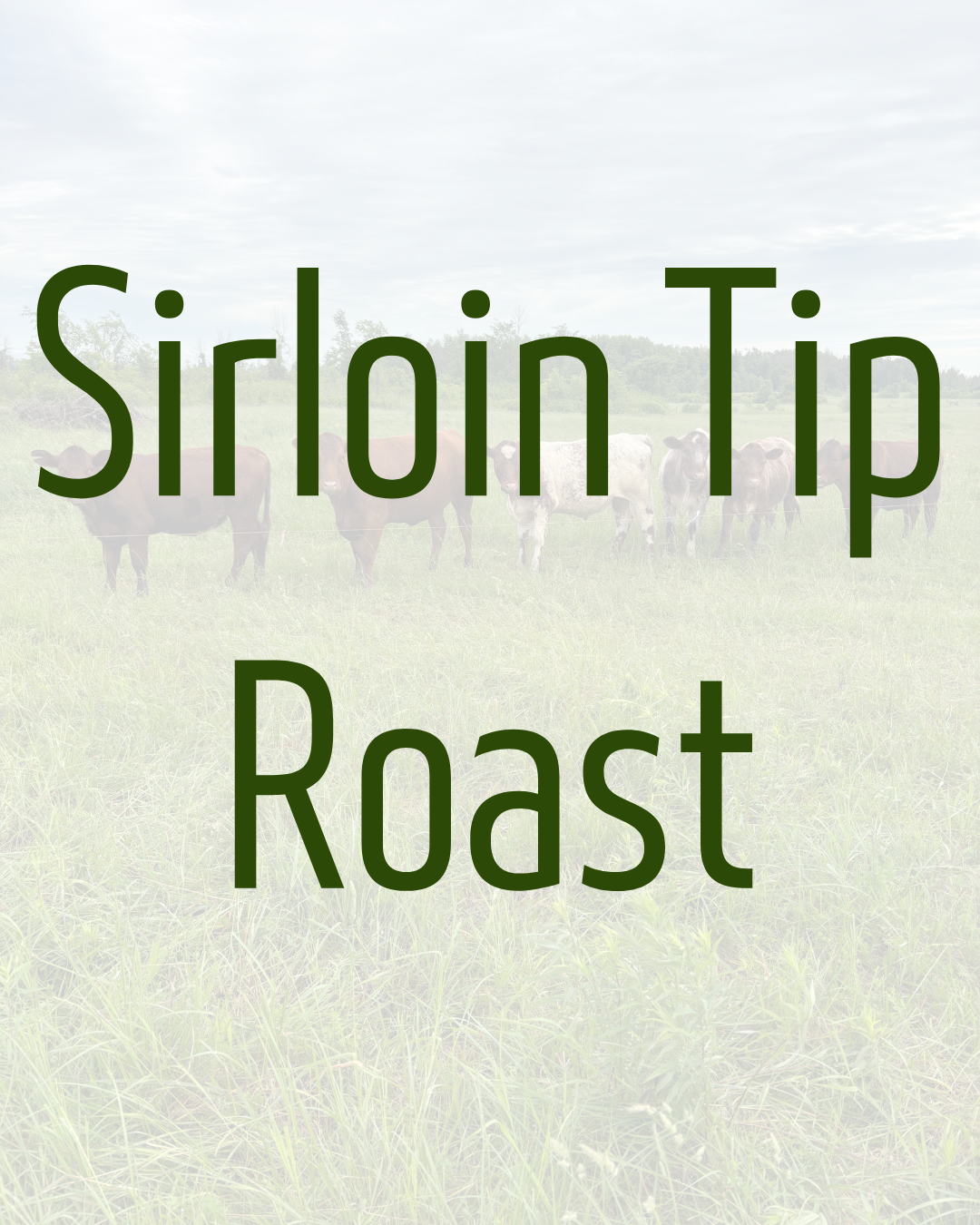 Sirloin Tip Roast by Dalmeny Acres