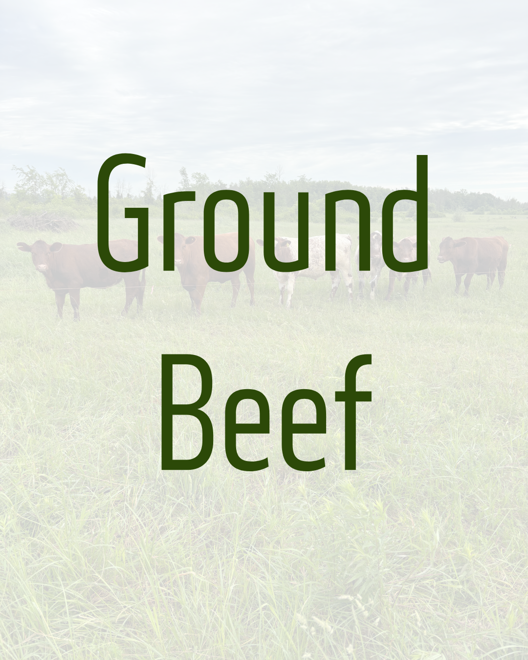 Ground Beef by Dalmeny Acres