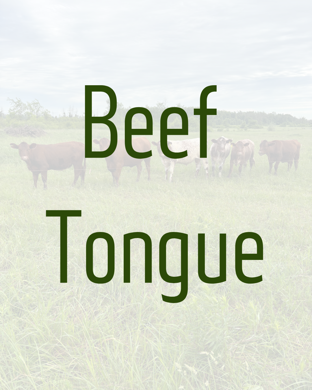 Beef Heart by Dalmeny Acres