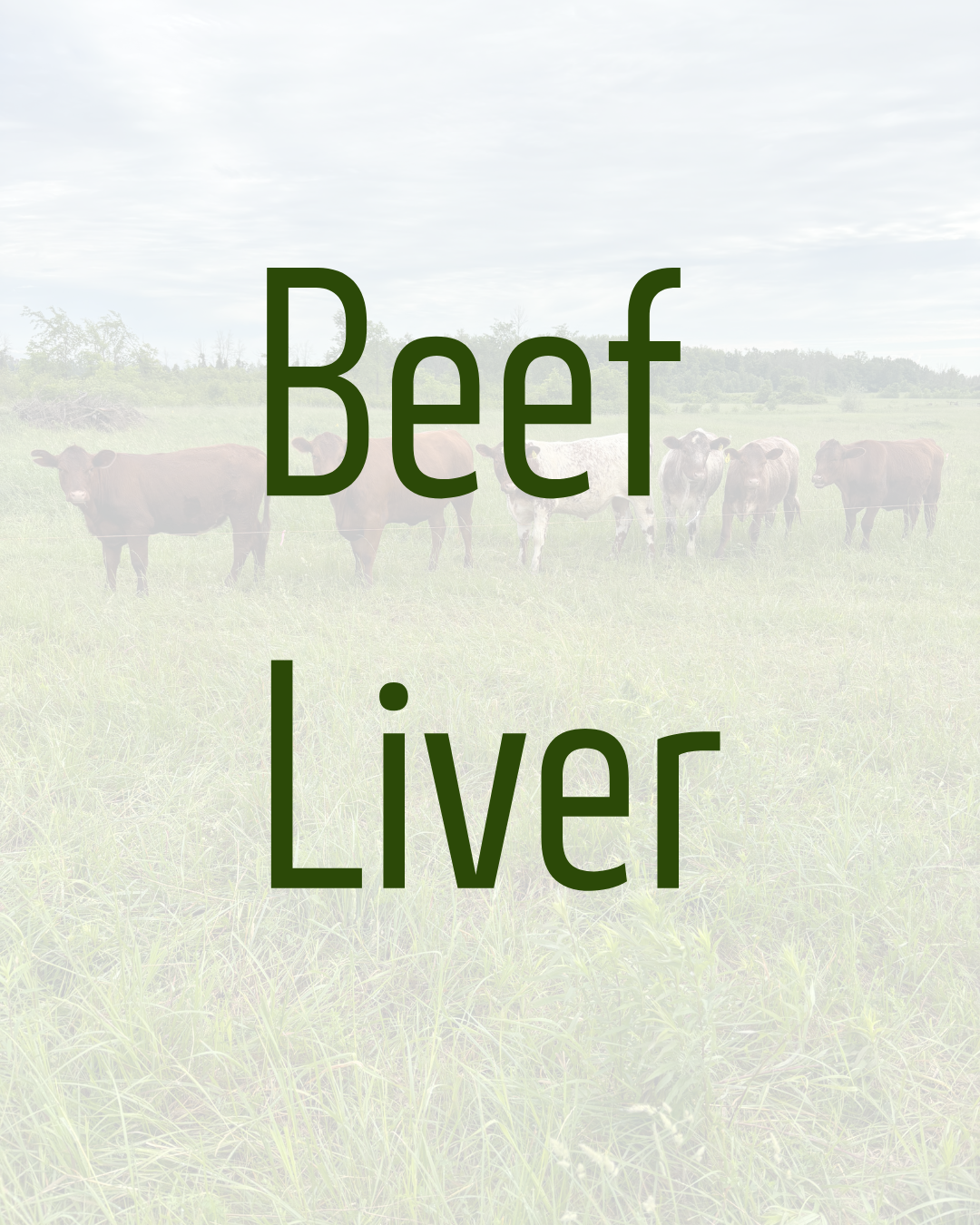 Beef Liver by Dalmeny Acres