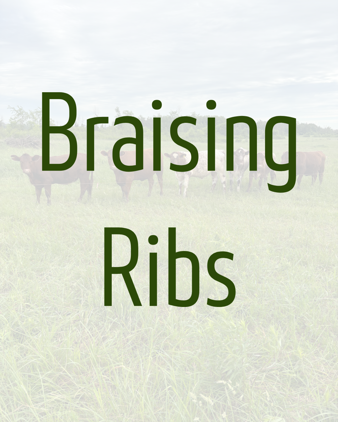 Braising Ribs by Dalmeny Acres