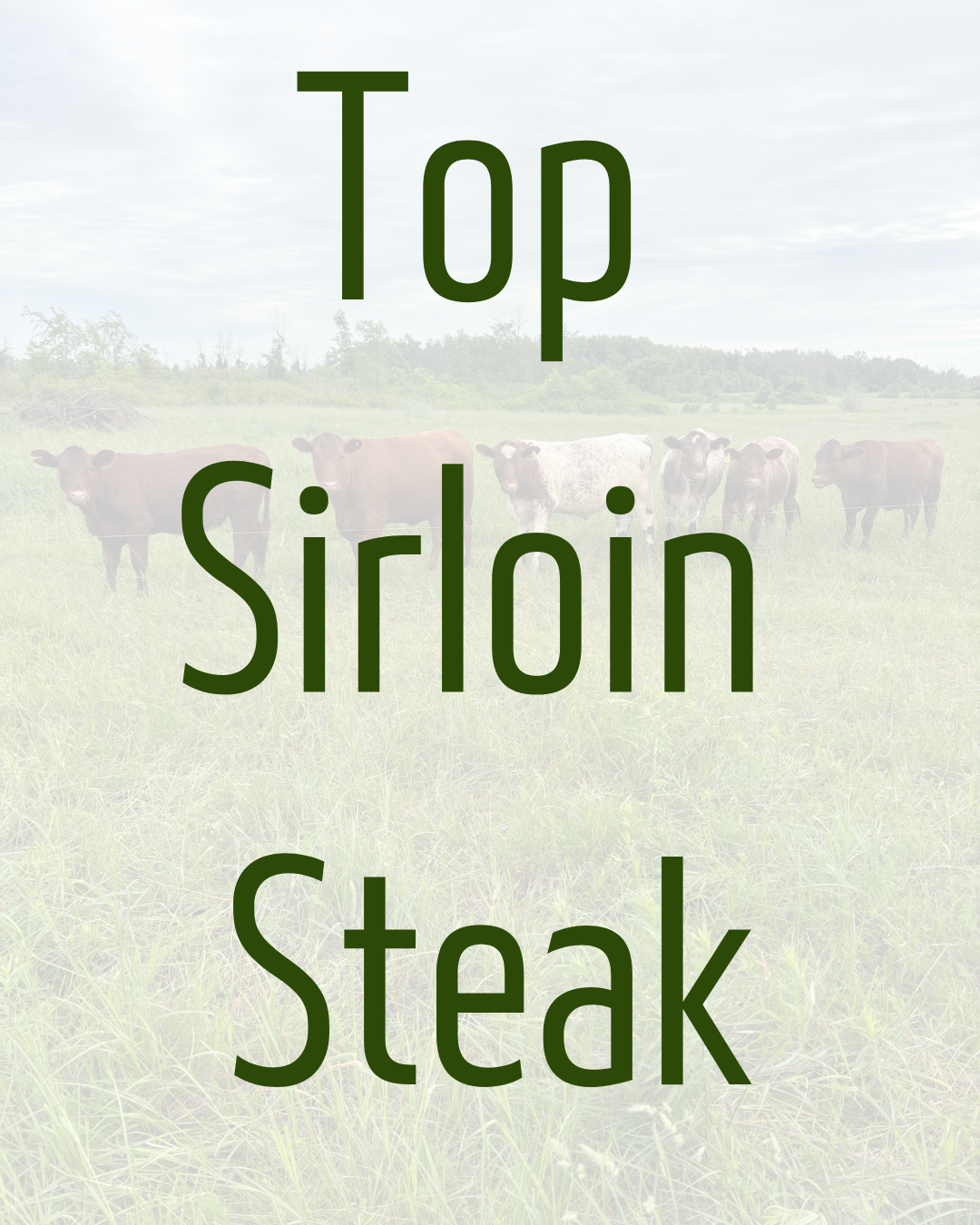 Top Sirloin Steak by Dalmeny Acres