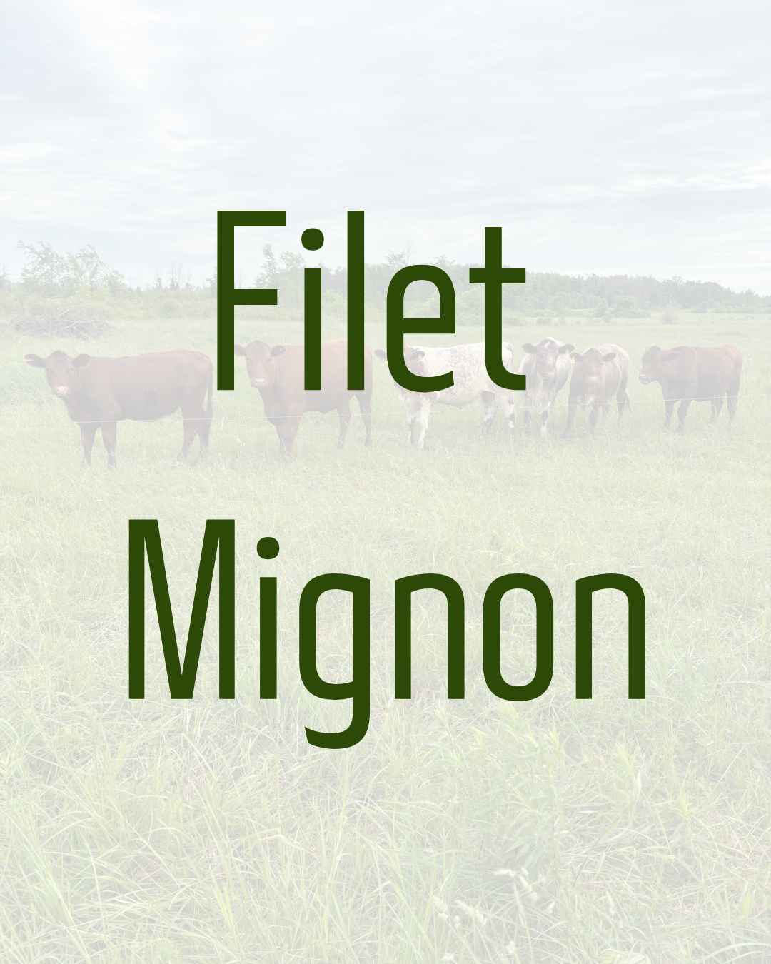 Filet Mignon/Tenderloin Steak by Dalmeny Acres