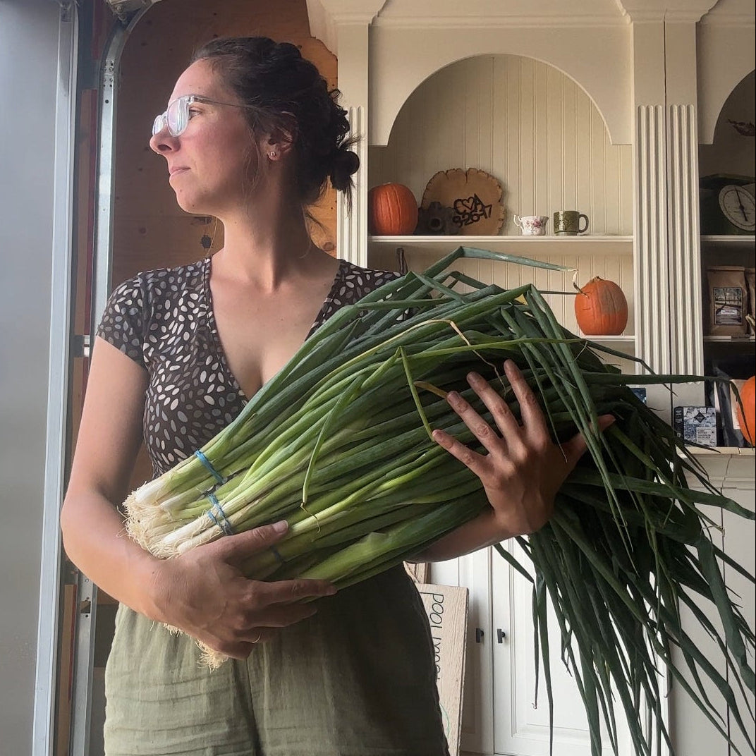 Green onions by Rutabaga Ranch