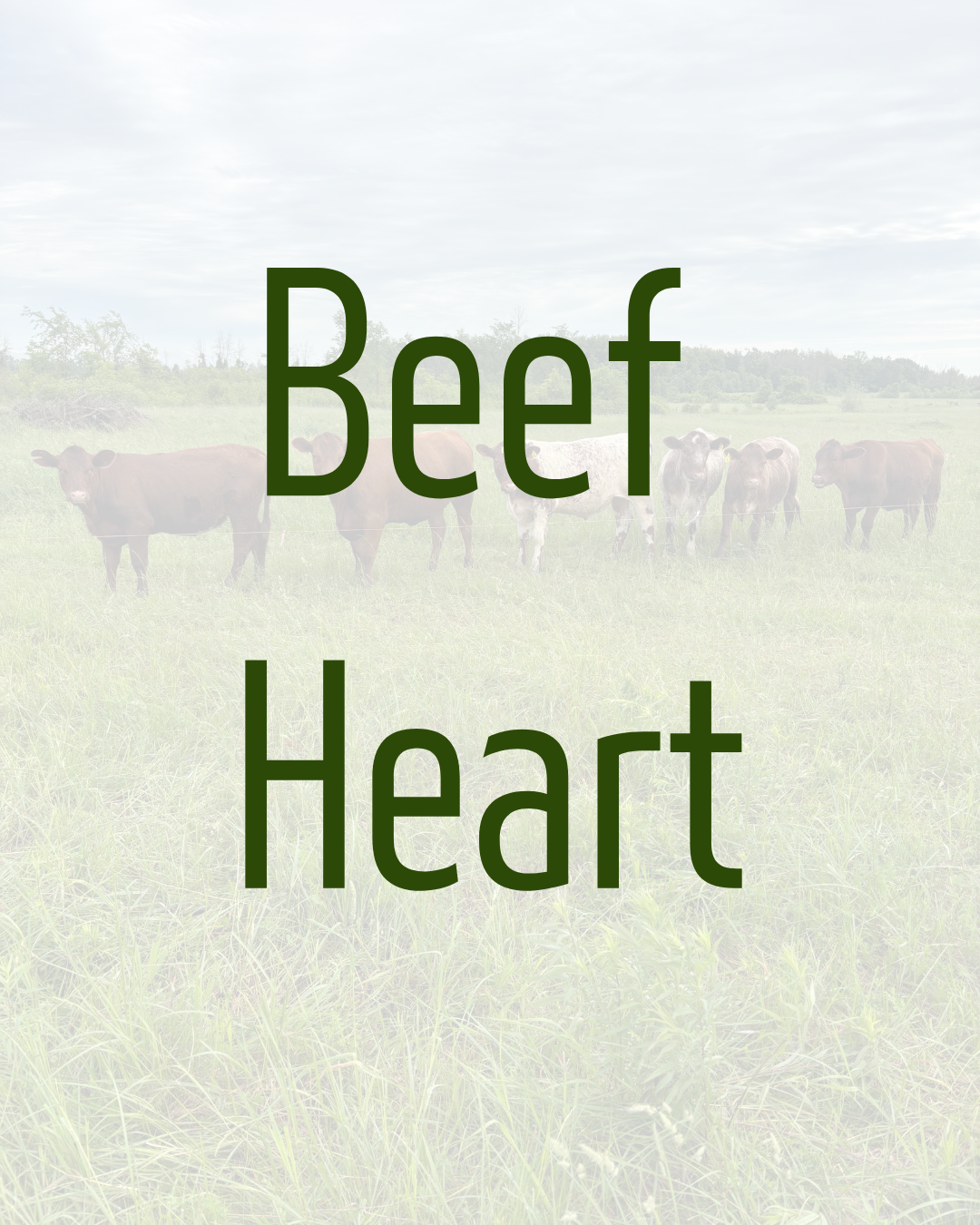 Beef Heart by Dalmeny Acres