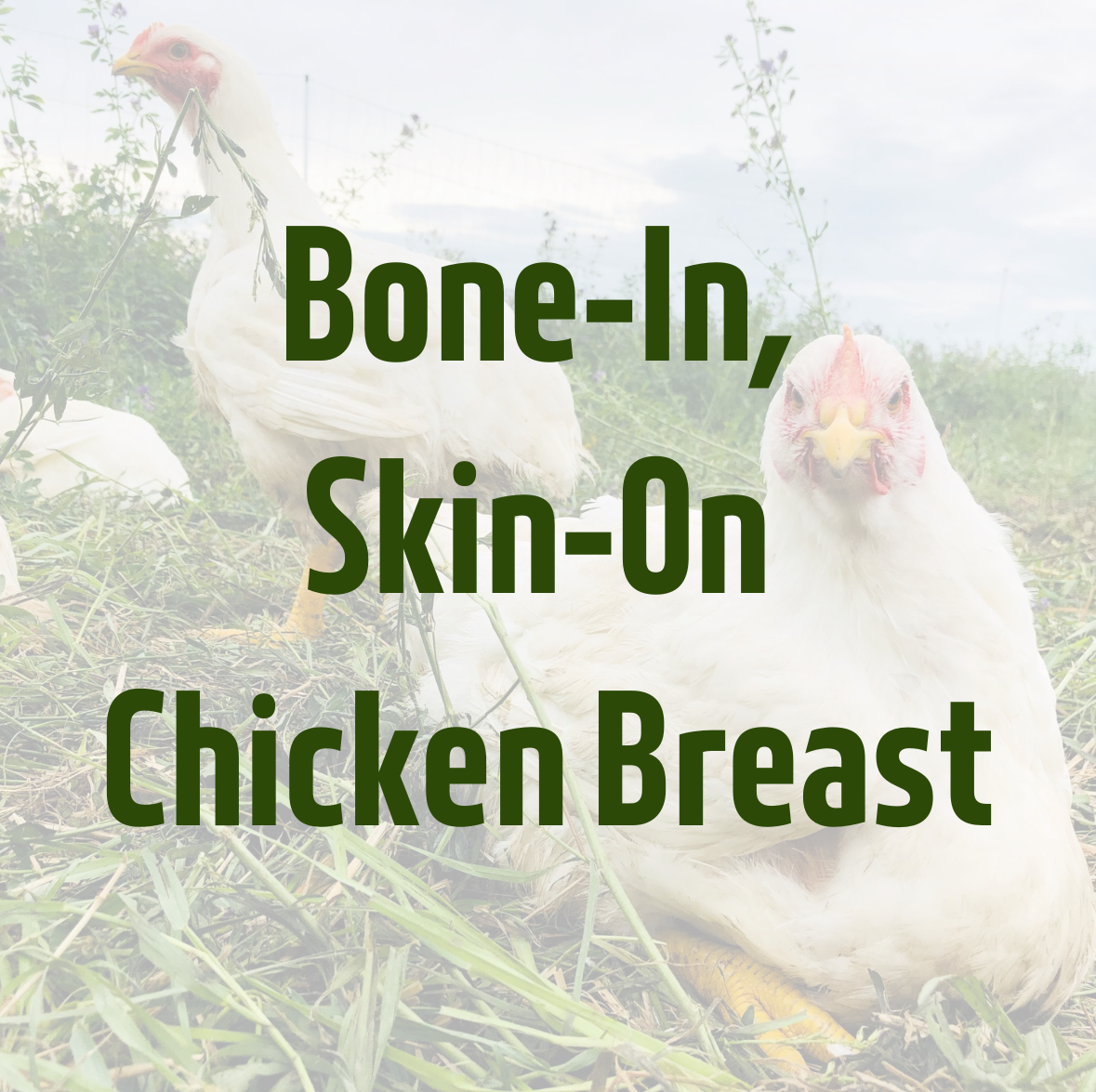 Bone-In, Skin-on Chicken Breast by Kirkview Farms