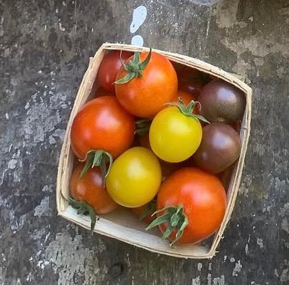 Cherry Tomatoes by Rutabaga Ranch