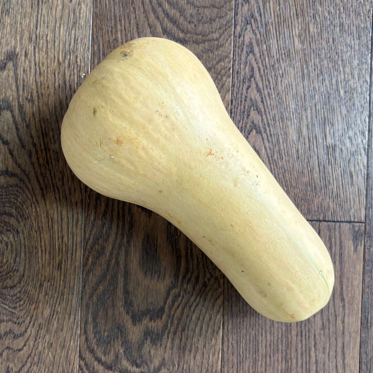 Butternut Squash by Rijkes Farm