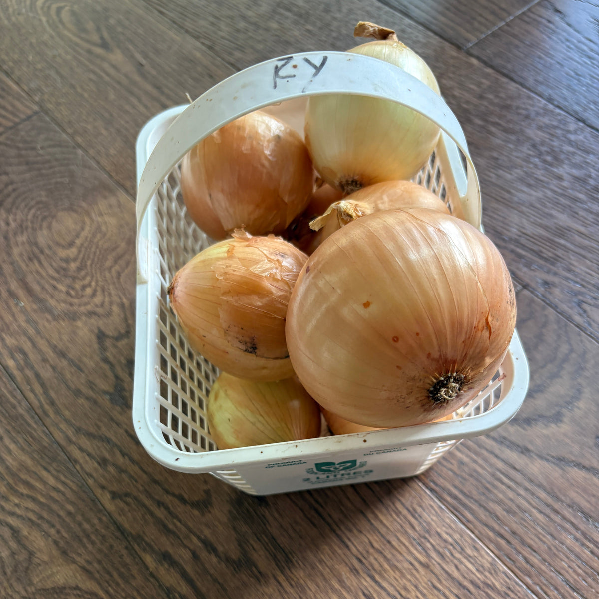 2L Cooking Onions by Rijkes Farm