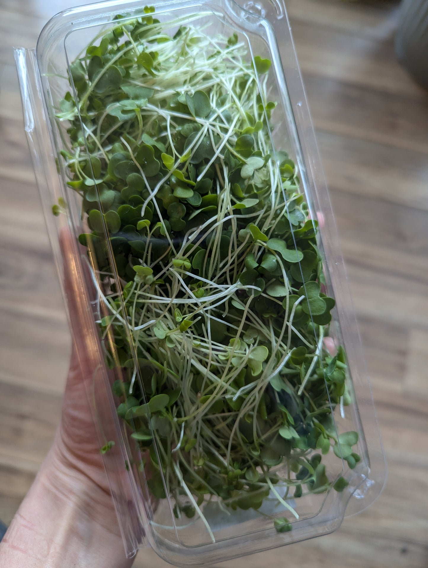 Microgreens by Garnish with Flourish