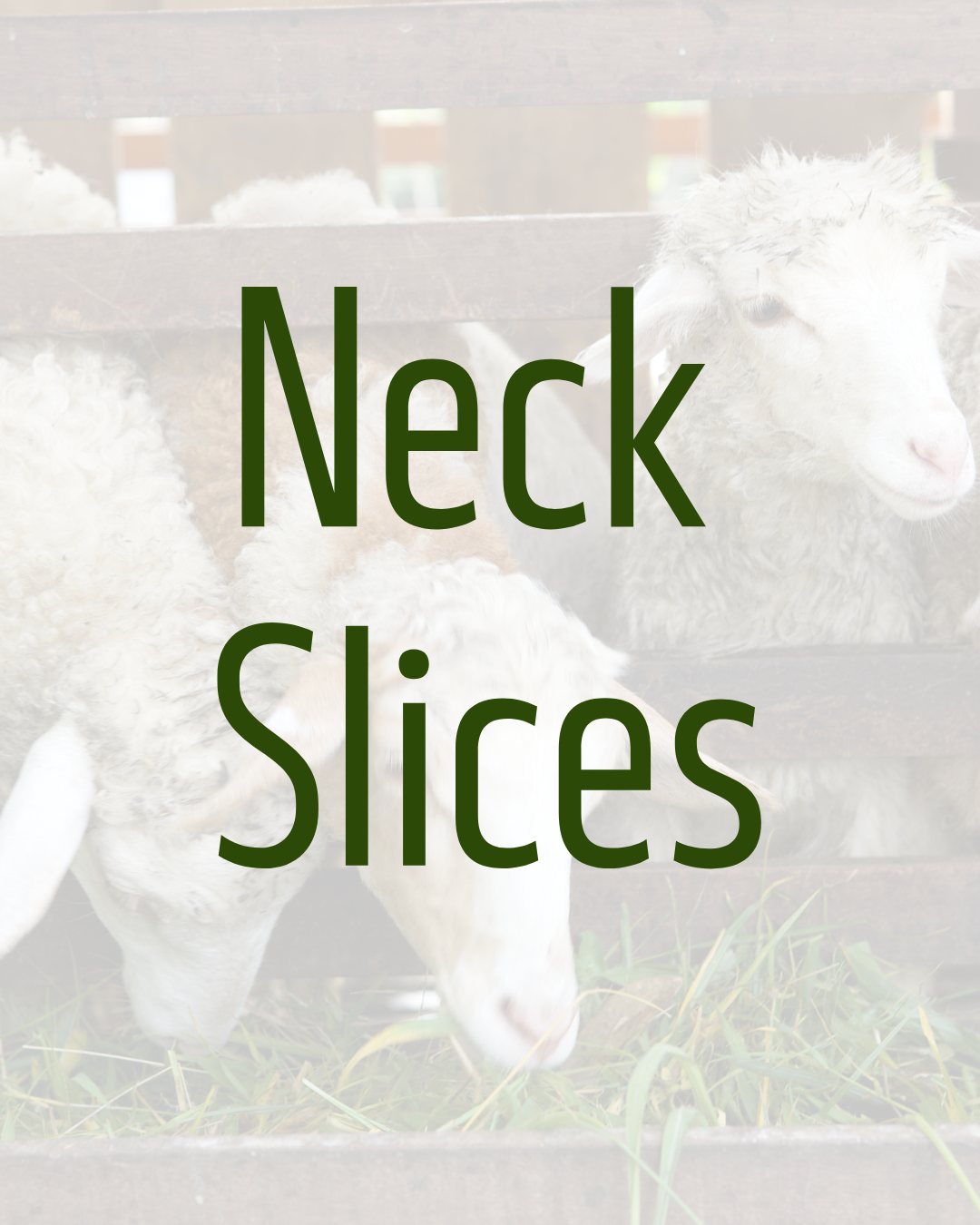 Neck Slices