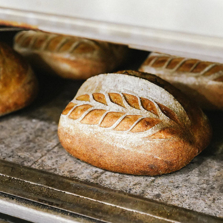 Fresh Sourdough