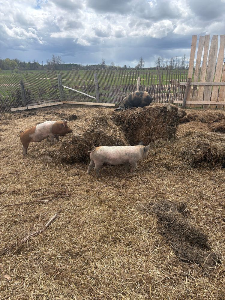 Pork