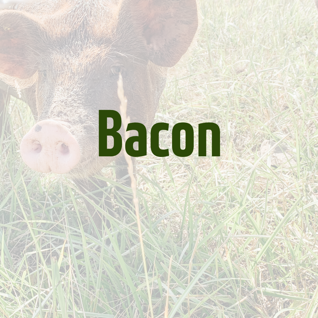 Smoked Bacon by Dalmeny Acres