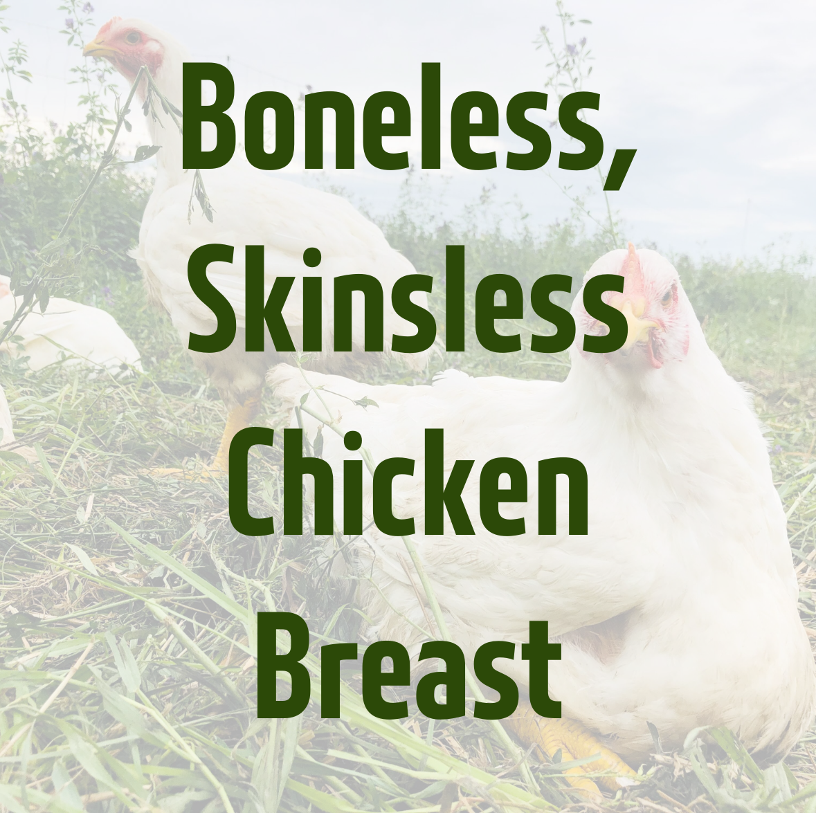 Boneless, Skinless Chicken Breast by Kirkview Farms