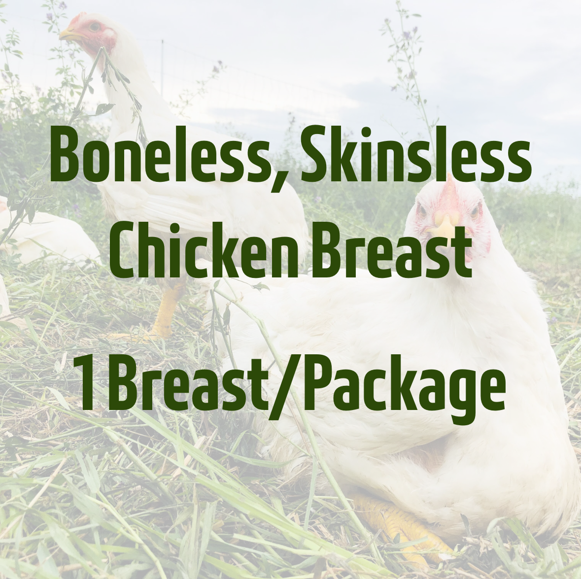 1 x Boneless, Skinless Chicken Breast by Kirkview Farms