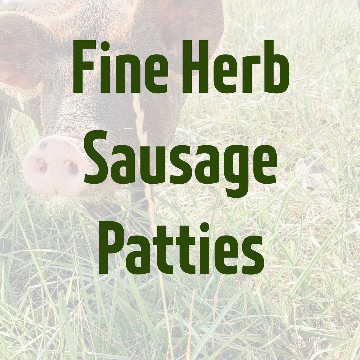 Fine Herb Sausages Patties by Dalmeny Acres