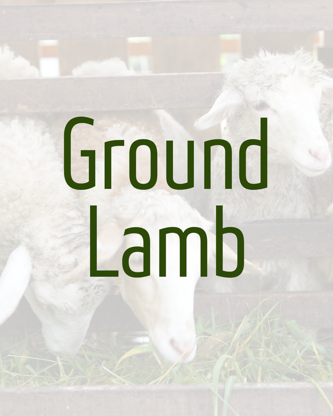 Ground Lamb by Hanlin Farms