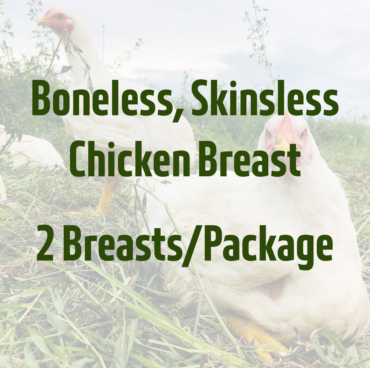 2 x Boneless, Skinless Chicken Breast by Kirkview Farms