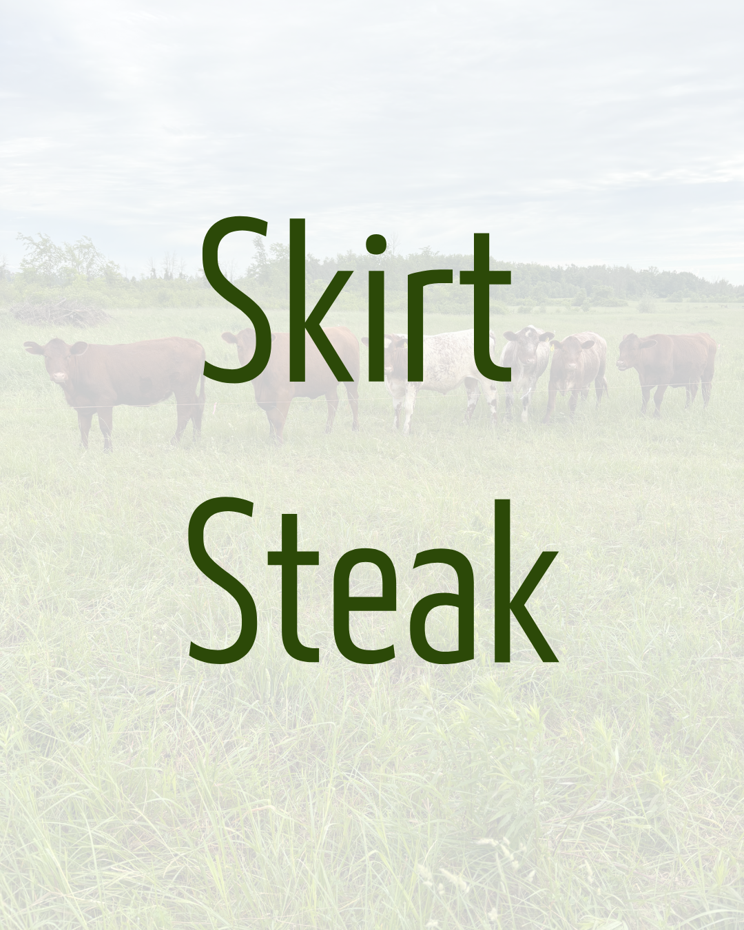 Skirt Steak