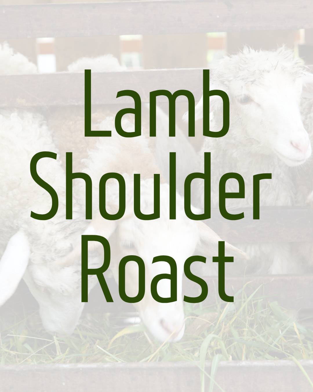 Lamb Shoulder Roast by Hanlin Farms