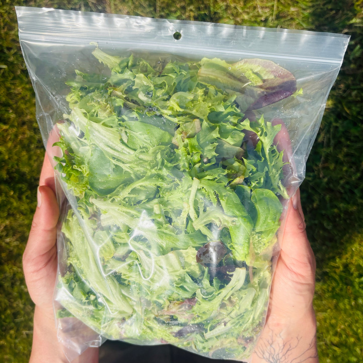 Signature Salad by Rutabaga Ranch