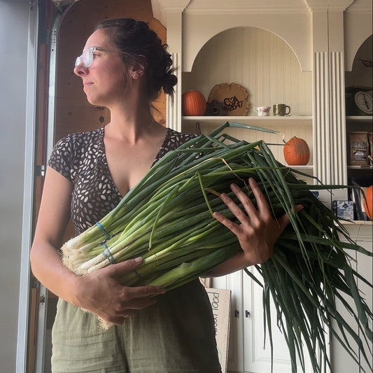 Green onions by Rutabaga Ranch