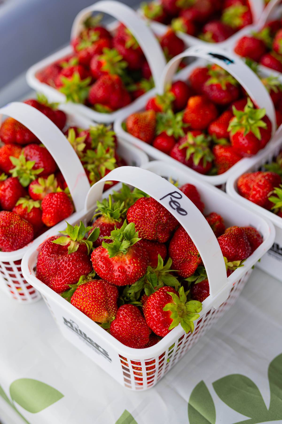 Join Our Farm Membership & Save Up To $200