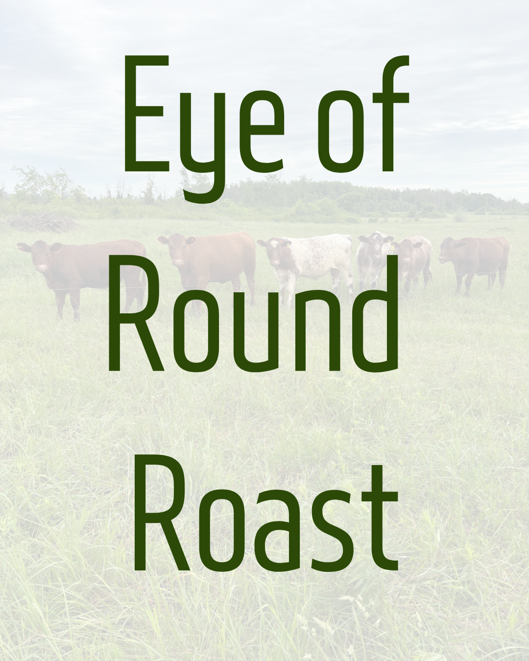 Eye of Round Roast