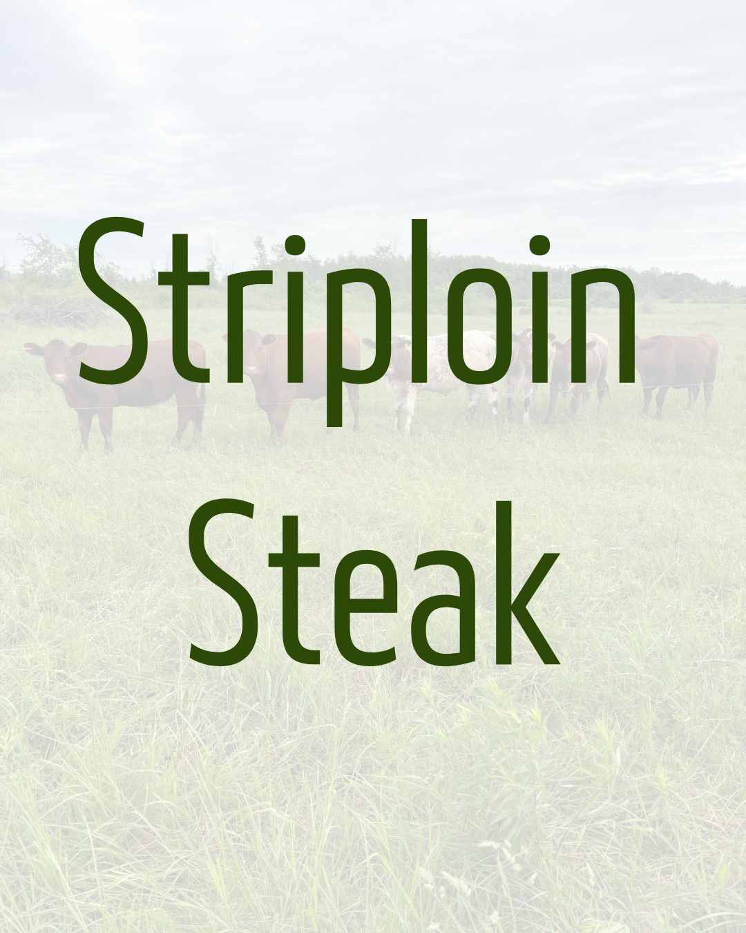 Striploin Steak