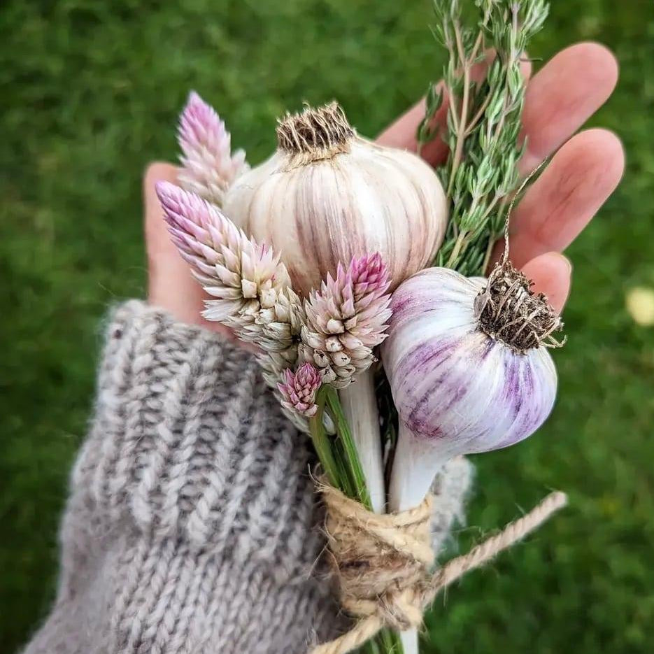 Decorated Garlic Braid by Garnish with Flourish
