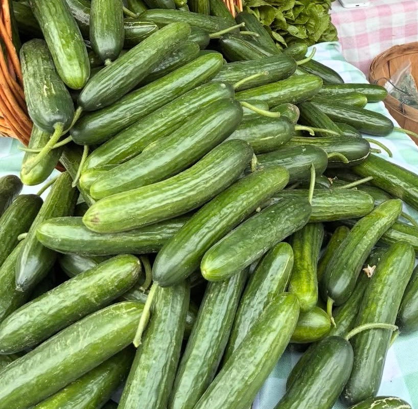 Cucumber by Rutabaga Ranch