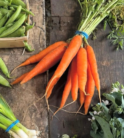 Join Our Farm Membership & Save Up To $200