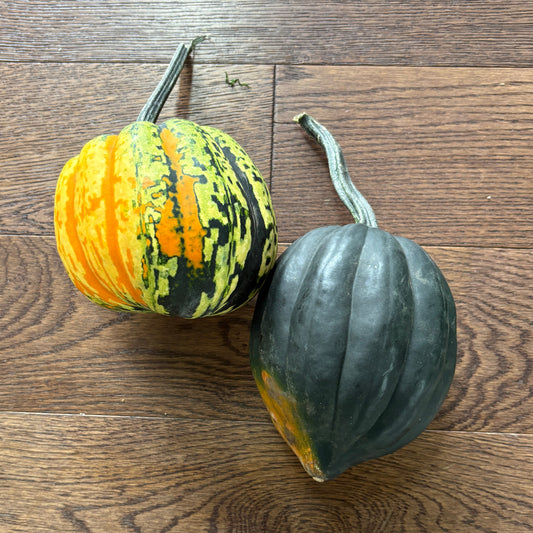 Acorn or Dumpling Squash by Rijkes Farm
