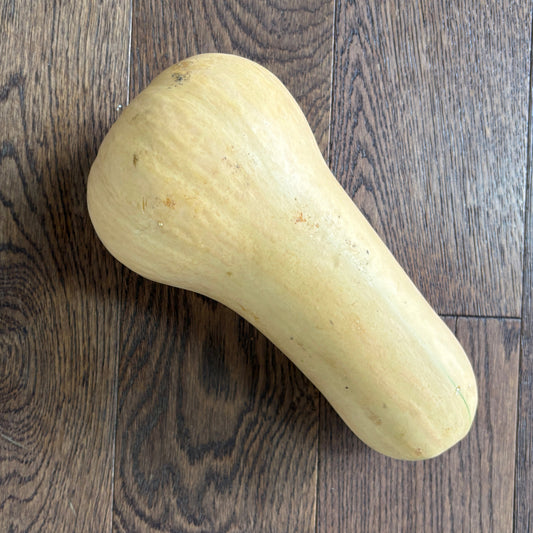 Butternut Squash by Rijkes Farm