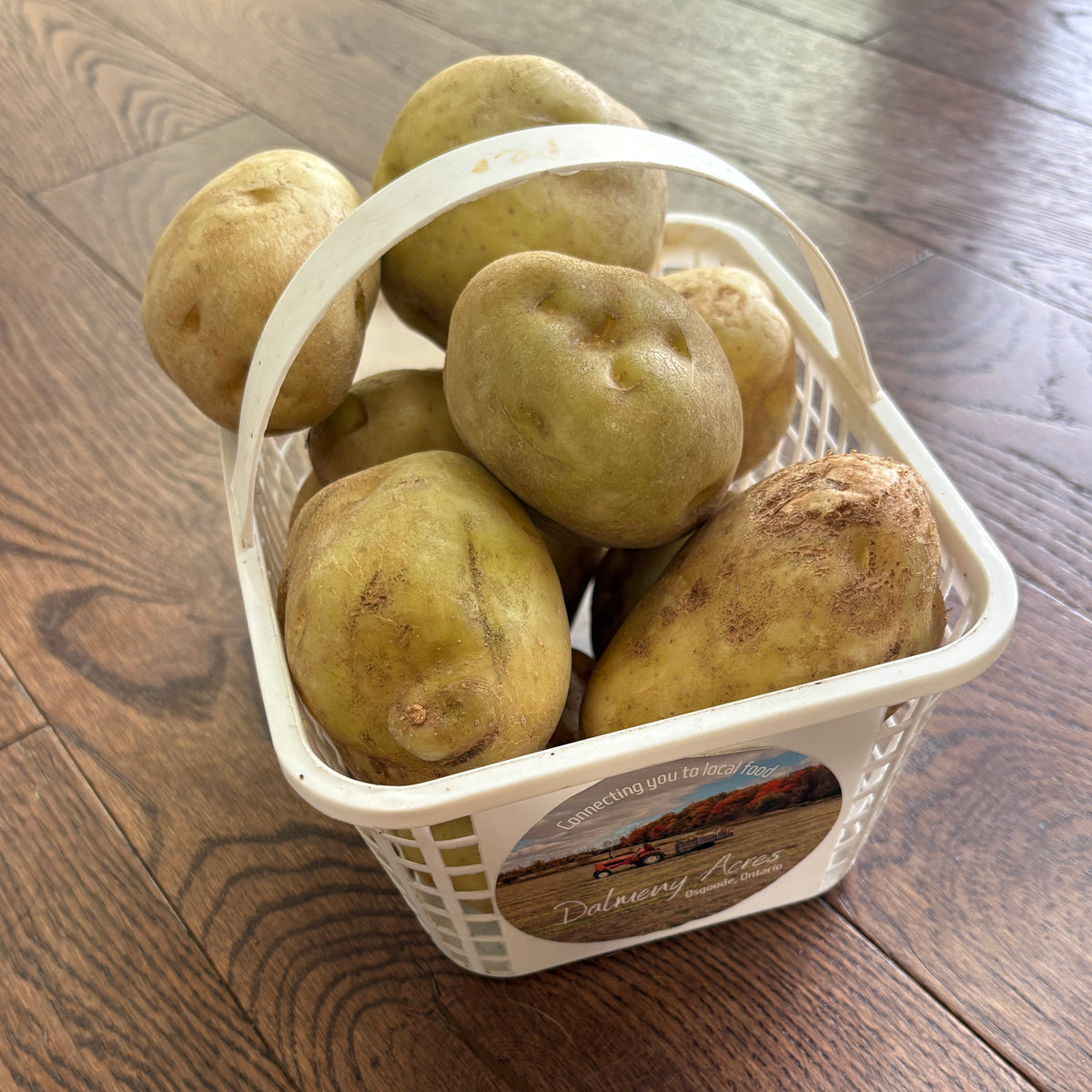 A white plastic basket filled with Russet Burbank potatoes, placed on a dark brown wooden floor. The basket features a circular sticker with the text 'Russet Burbank' and 'Delhi Seeds'.