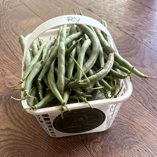 A white plastic basket filled with fresh green beans placed on a dark wood floor. A round black label is attached to the front of the basket, and the handle is marked with the letters 'RY'.
