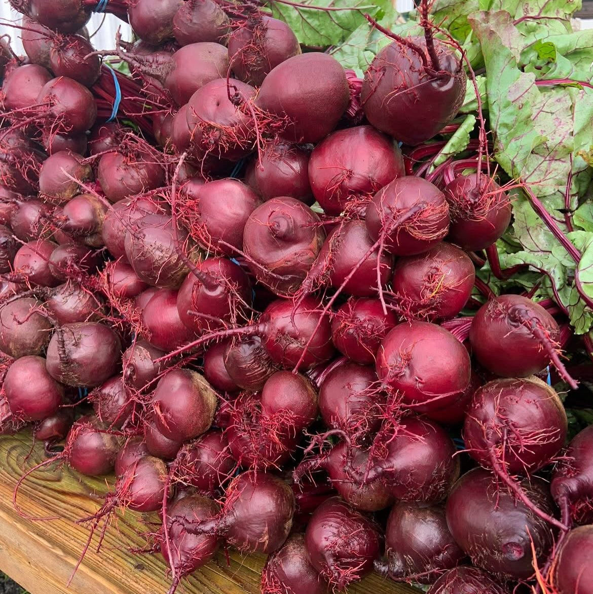Beet Bunch by Rutabaga Ranch
