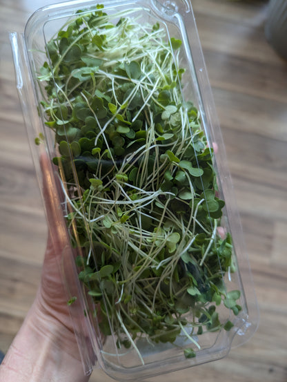Microgreens by Garnish with Flourish
