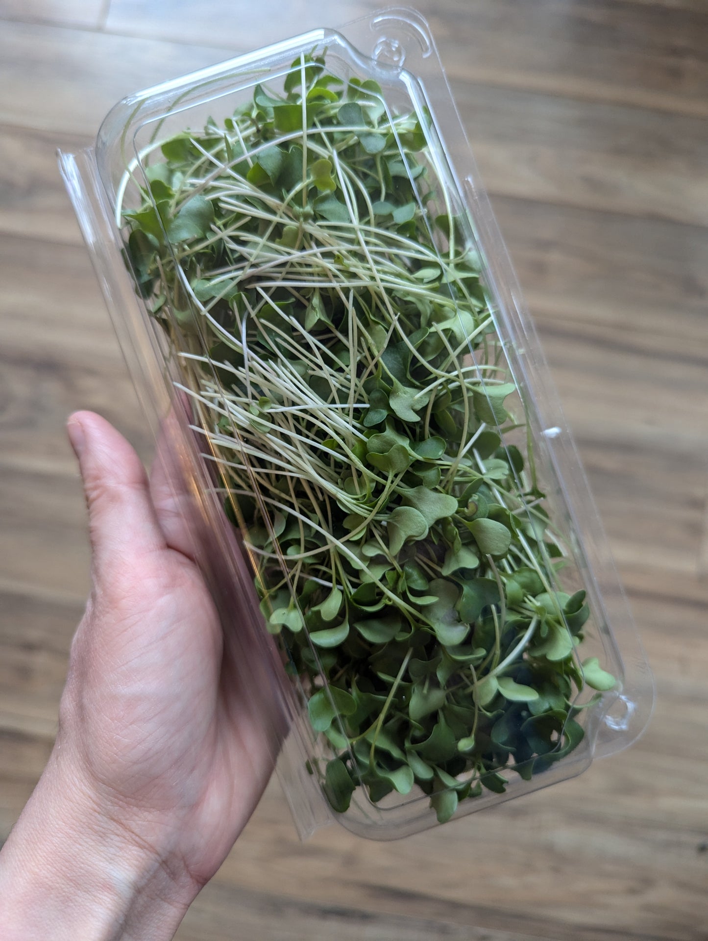 Microgreens by Garnish with Flourish