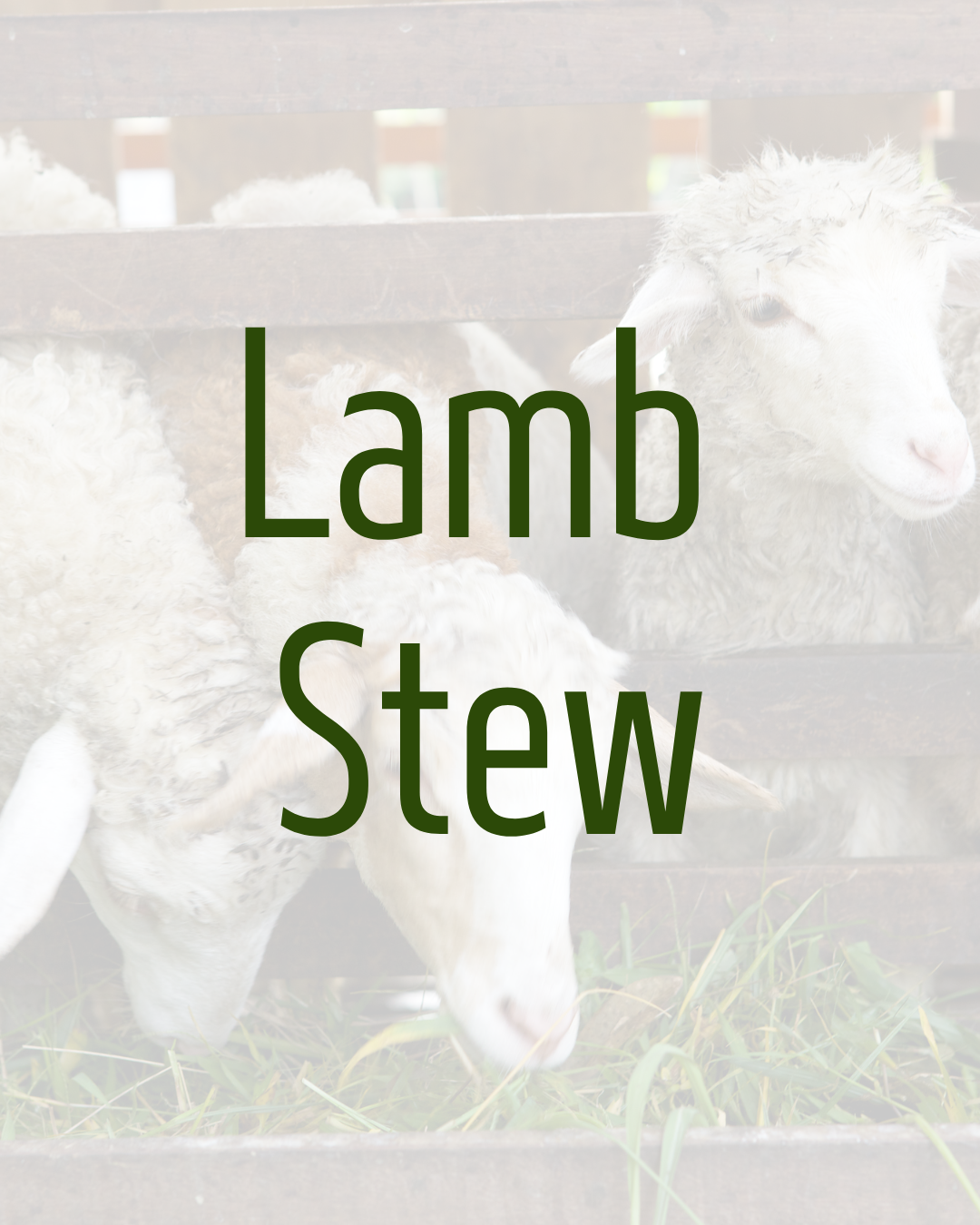 Lamb Stew by Hanlin Farms